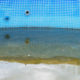 How Do I Get Rid of a Swimming Pool